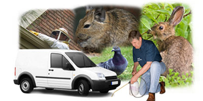 Sowerby Bridge local van